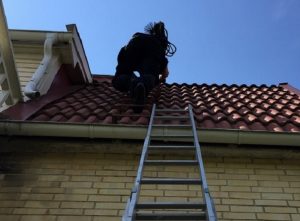 屋根点検・診断