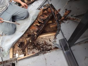 腐食した木下地