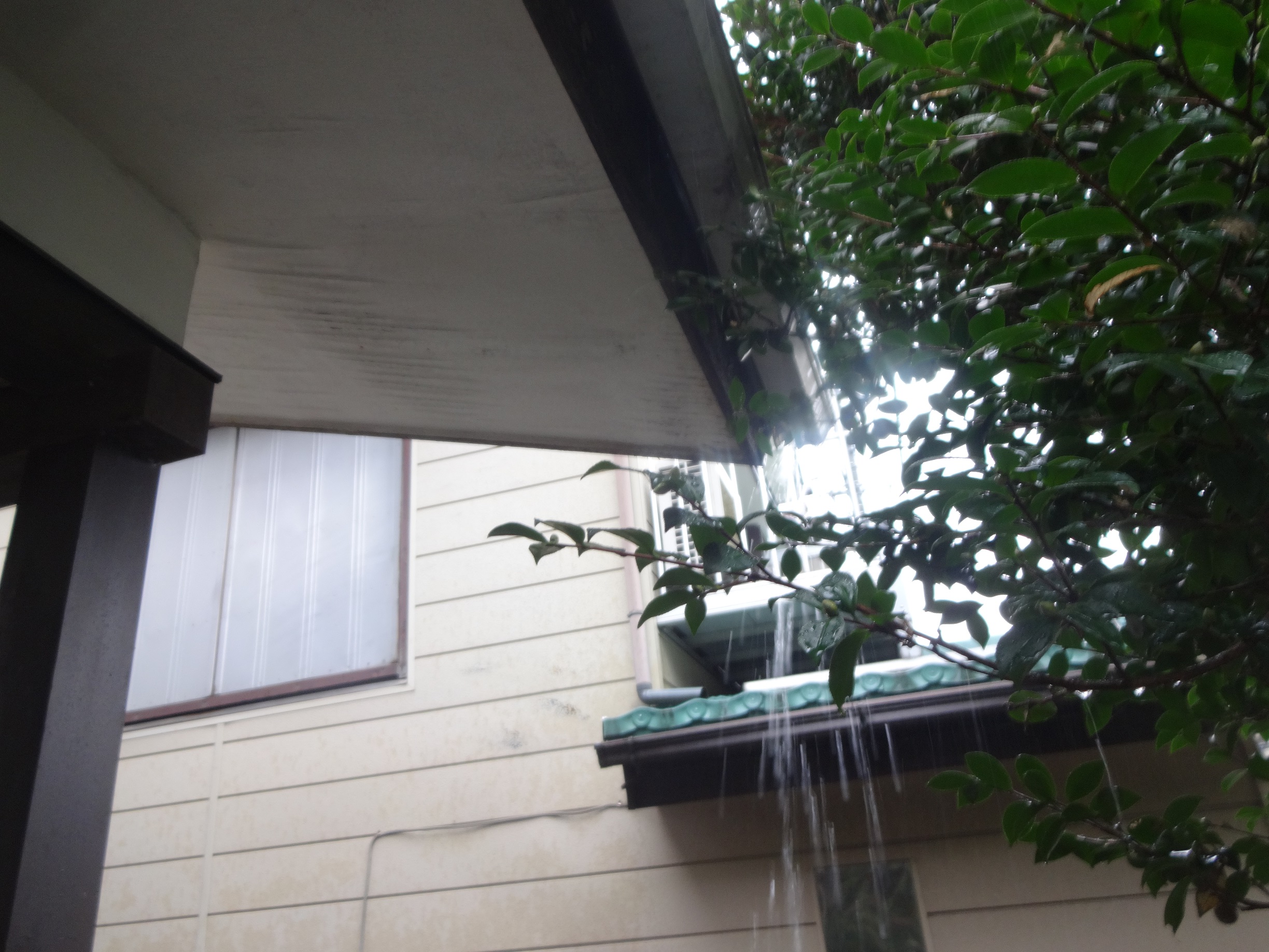 雨樋の水漏れ