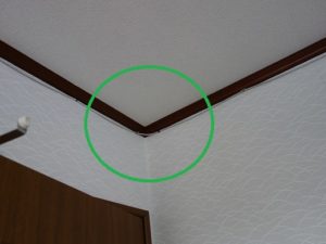 天井からの雨漏り