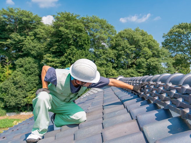 屋根点検