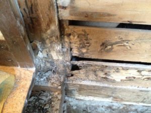 木材の腐食