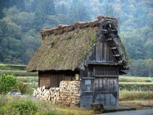 劣化した茅葺屋根