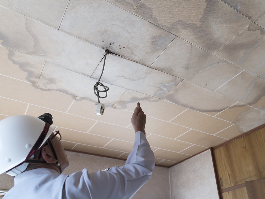 雨漏りした天井を調査するビジネスマン　住宅