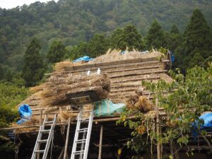 茅葺き屋根の葺き替え作業