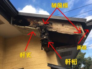 木腐食箇所
