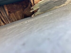 笠木下地の腐食