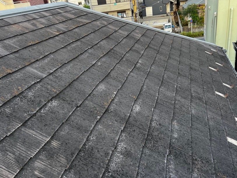 コケや汚れた屋根