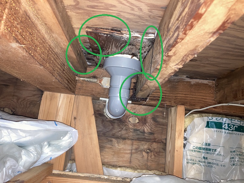 雨漏り箇所