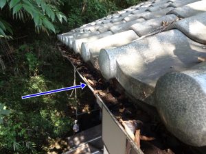 雨樋の枯葉による詰まり