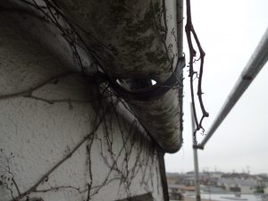 破損している軒樋
