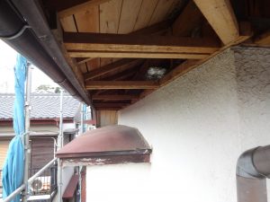 軒天ベニヤの解体