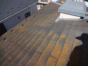 屋根塗装の施工前