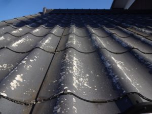 セキスイかわらU