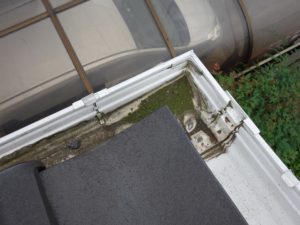 雨樋の汚れ