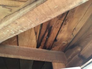 野地板の雨漏り・雨染み