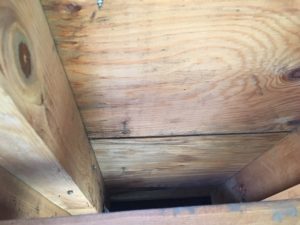 野地板の雨染み