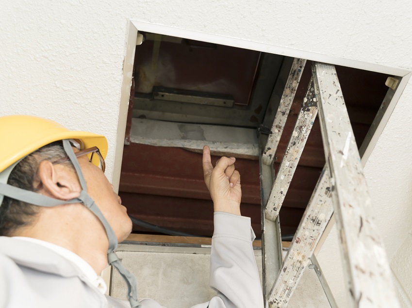 屋根裏点検