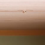 和室の天井の染み