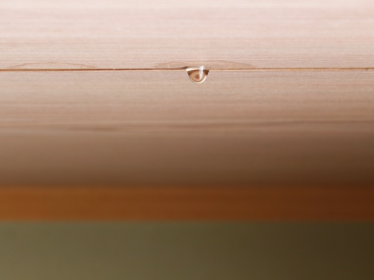 和室の天井の染み