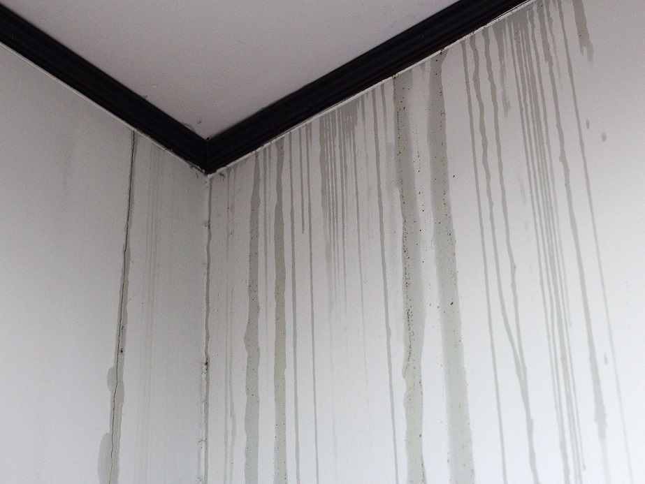 クロス　雨漏り