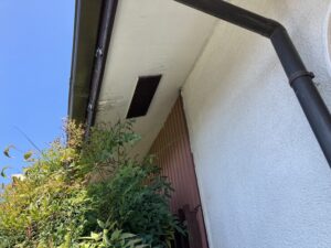 軒天の劣化状況