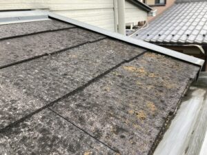 下屋根コケや藻