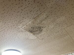 天井雨染み