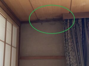 天井雨漏り