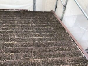 屋根のコケや汚れ