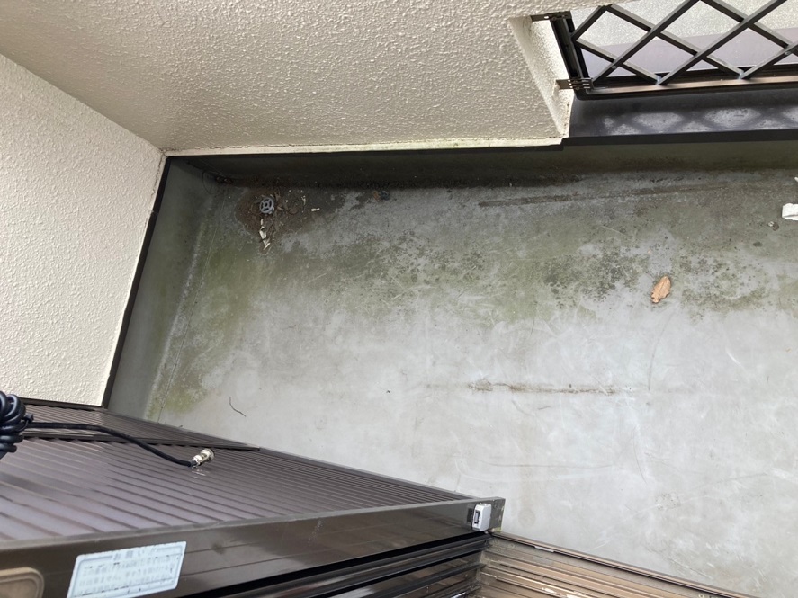 コケや藻、汚れ