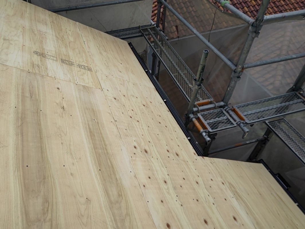 大屋根合板張り