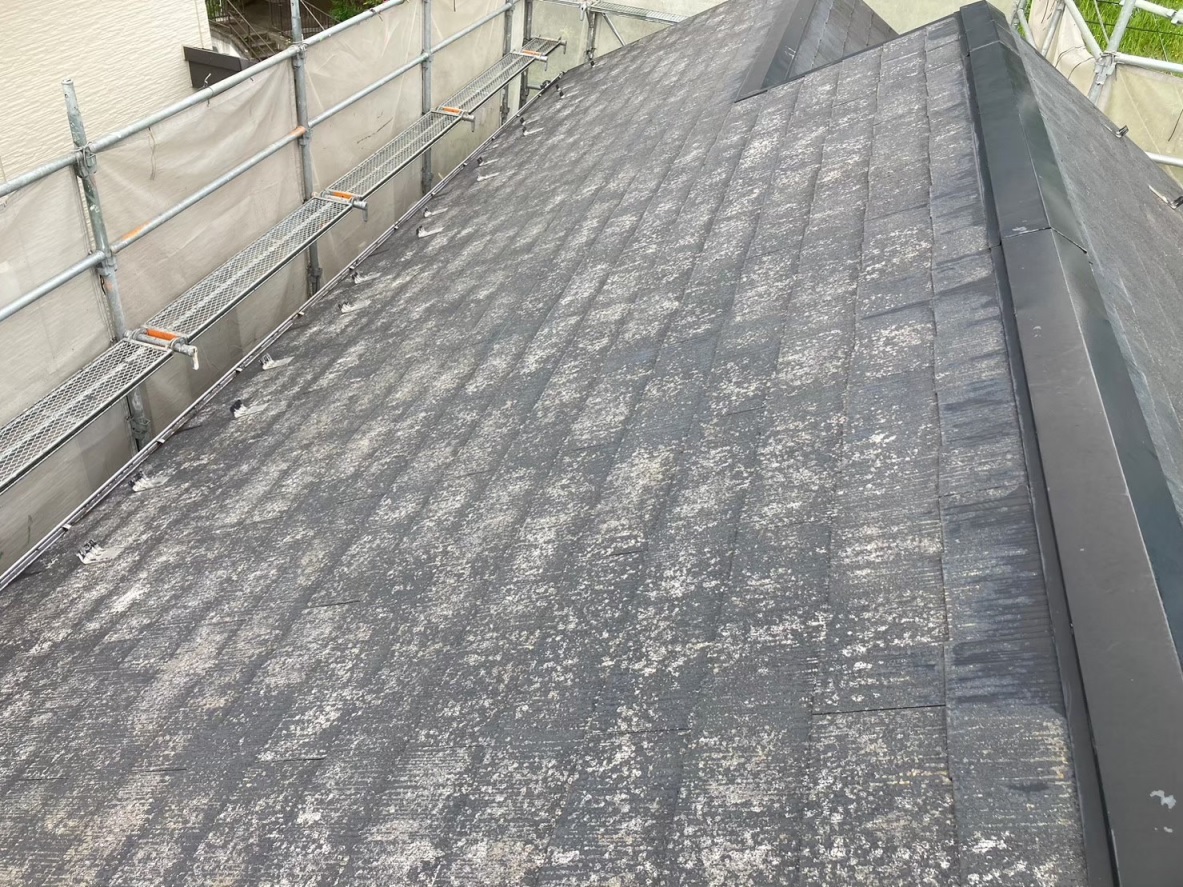 大屋根洗浄後