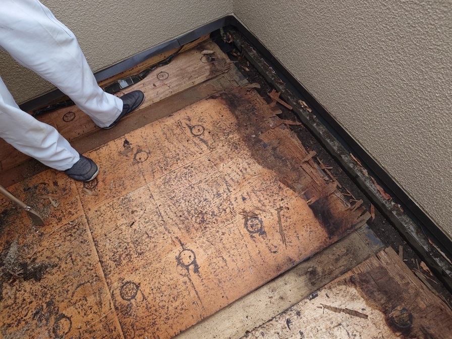 ベニヤの腐食状況