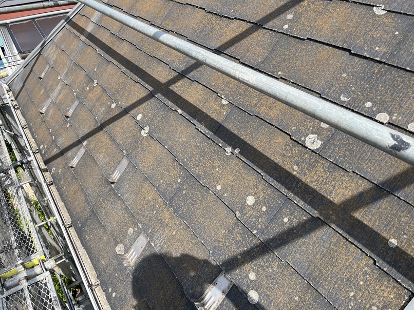 屋根材のコケや汚れ