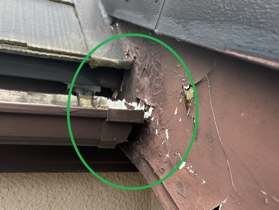 雨樋オーバーフロー